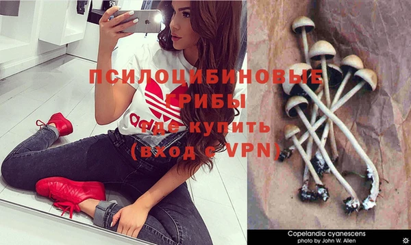 МДПВ Богданович