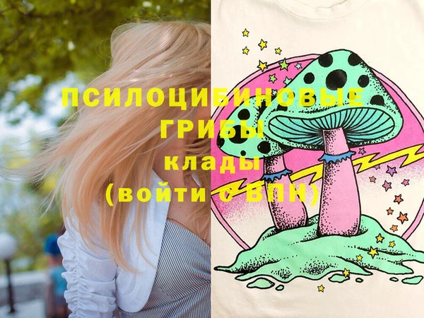 таблы Богородицк