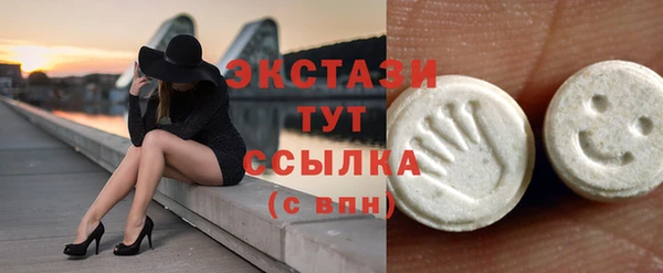 мдпв Богородск