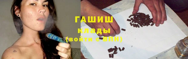 мдпв Богородск