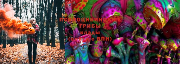 МДПВ Богданович