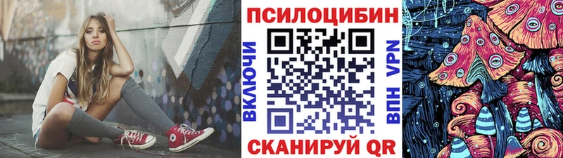 хочу Томари Галлюциногенные грибы Cubensis